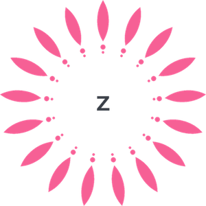 Journal Of Z Logo